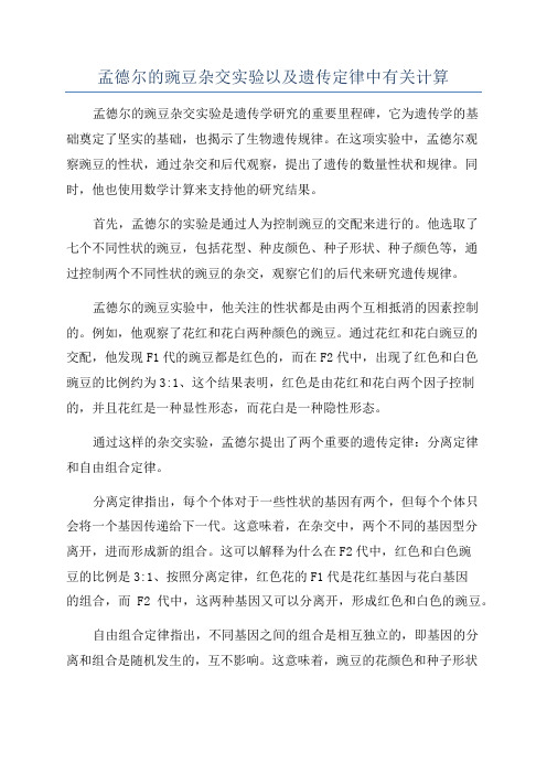 孟德尔的豌豆杂交实验以及遗传定律中有关计算