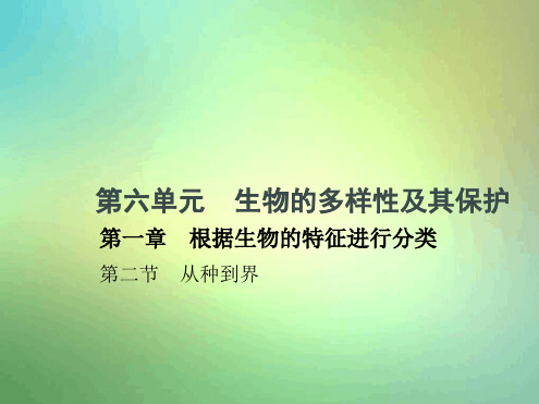 八年级生物上册612从种到界课件新版新人教版