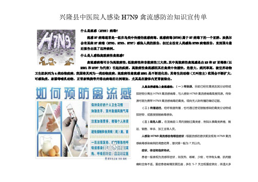 H7N9禽流感宣传资料