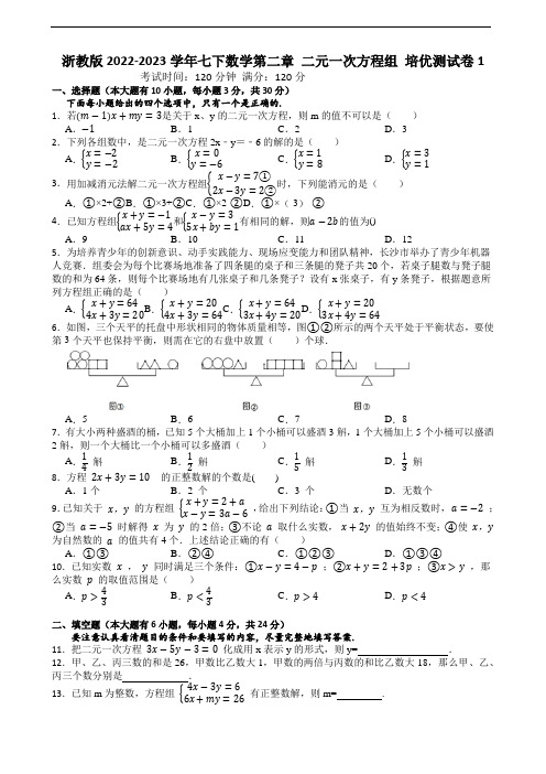 浙教版2022-2023学年七下数学第二章 二元一次方程组 培优测试卷1