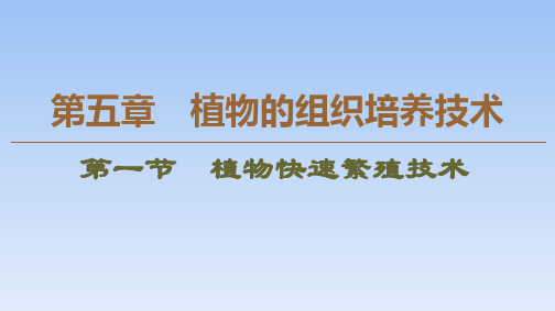 2019-2020学年高中生物新同步沪科版选修1课件:第5章 第1节 植物快速繁殖技术