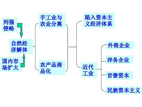 10课鸦片战争后中国经济24页PPT