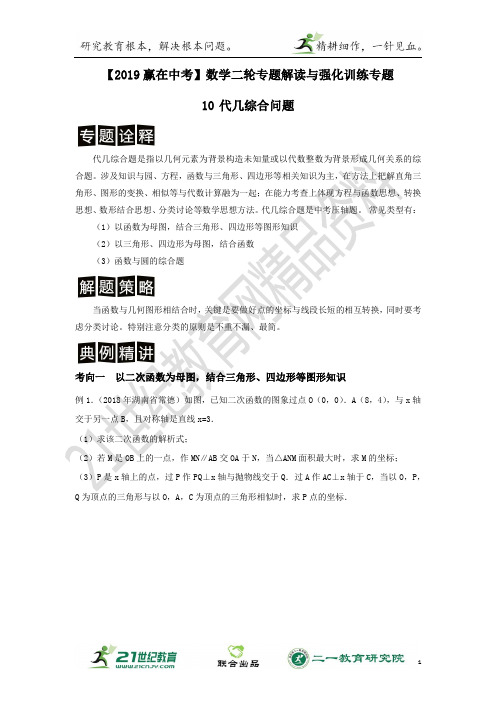 中考数学2轮专题解读与强化训练 专题10 代数几何综合问题（含解析）