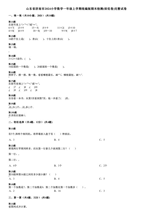 山东省济南市2024小学数学一年级上学期统编版期末检测(培优卷)完整试卷