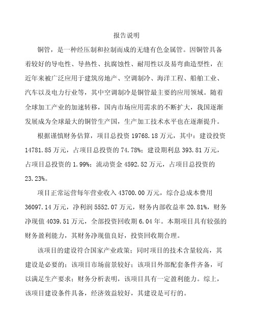 铜管项目数据分析报告