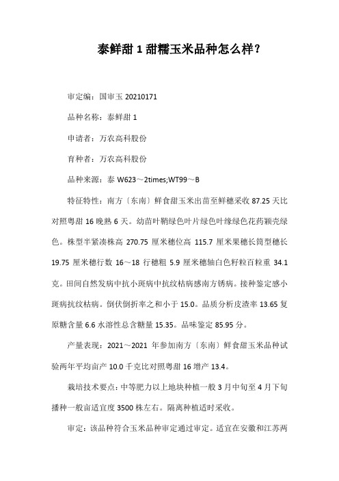 泰鲜甜1号甜糯玉米品种好不好?