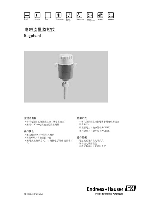 E+H插入式电磁流量计DTI200