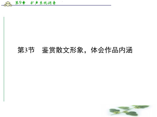 《创新大课堂》高考语文(新课标人教)一轮总复习配套课件“现代文阅读”专题冲关能力提升 第二章 专题二 