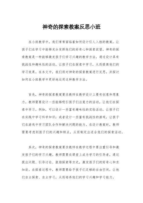 神奇的探索教案反思小班