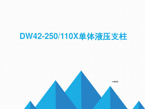 DW42-250110X单体液压支柱