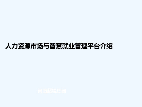 公共就业与人才服务信息化综合解决方案