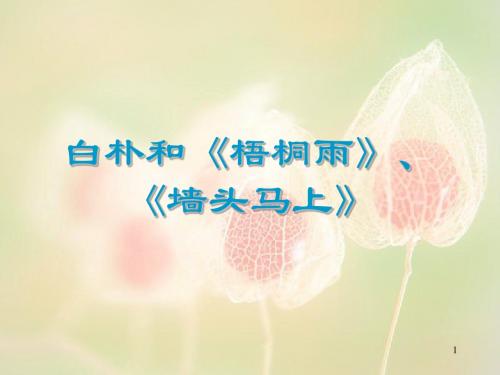 白朴