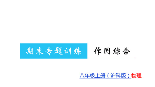 第6章期末专题训练  作图综合—2020秋沪科版八年级物理(上册)教用习题课件