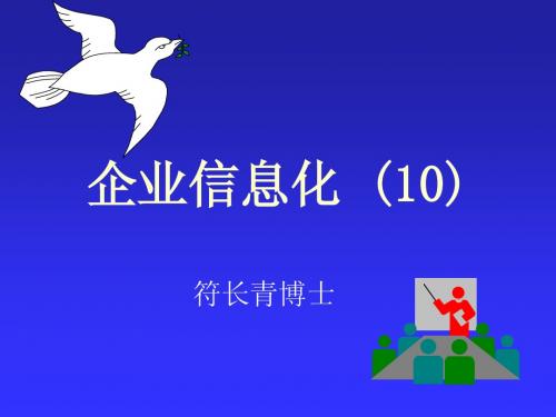 企业信息化课件10