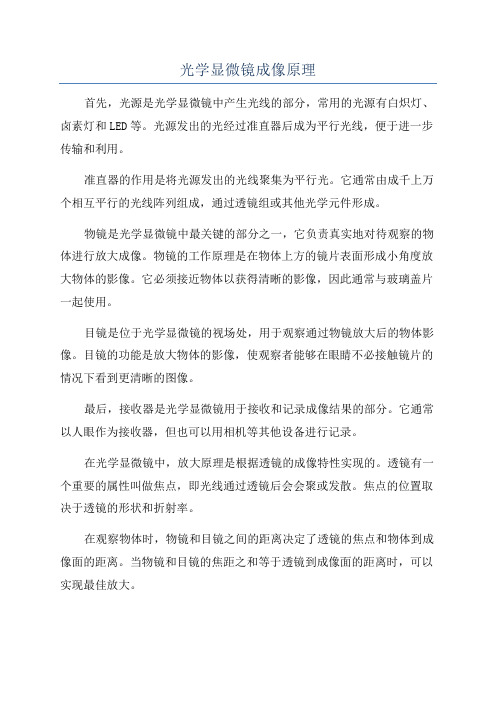 光学显微镜成像原理