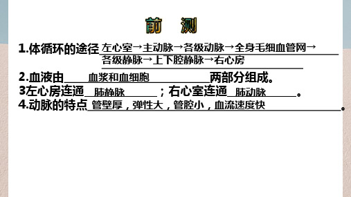 第四章 人体内代谢废物的排出-七年级生物下册章末复习课件(济南版)