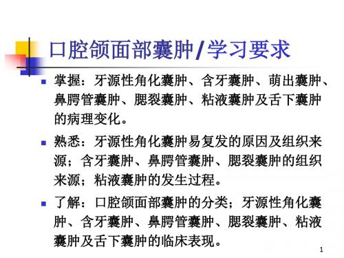 颌面部囊肿ppt课件