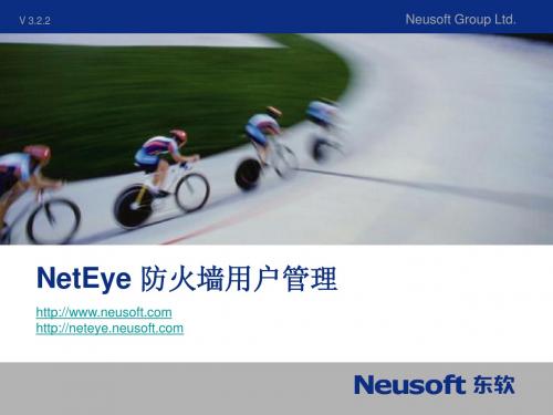 NetEye FW 3.2.2培训PPT