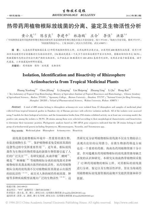 热带药用植物根际放线菌的分离_鉴定及生物活性分析_黄小龙