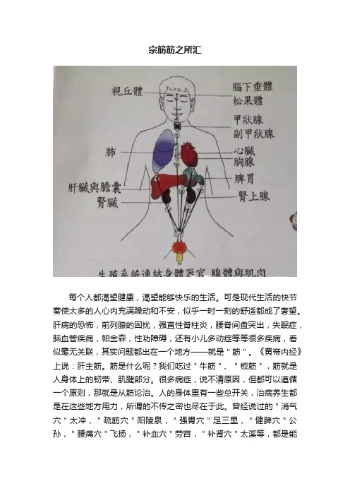 宗筋筋之所汇