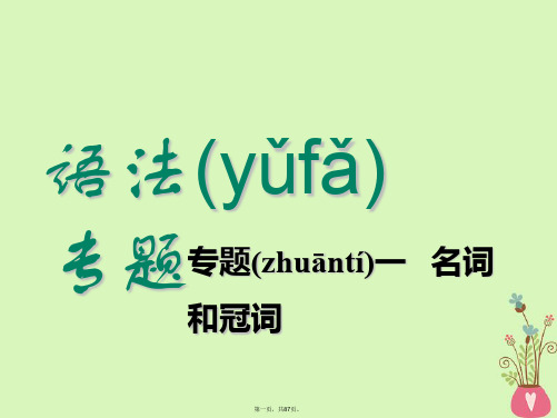高考英语一轮复习语法专项专题一名词和冠词课件北师大版