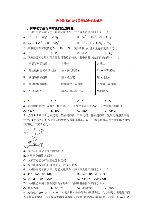 生活中常见的盐过关测试含答案解析