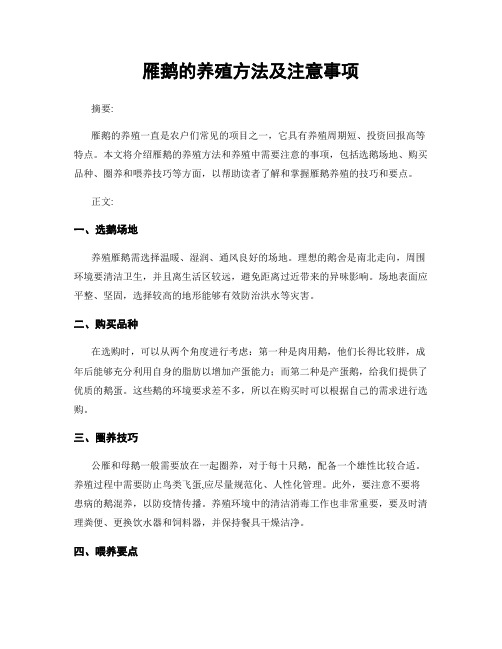 雁鹅的养殖方法及注意事项