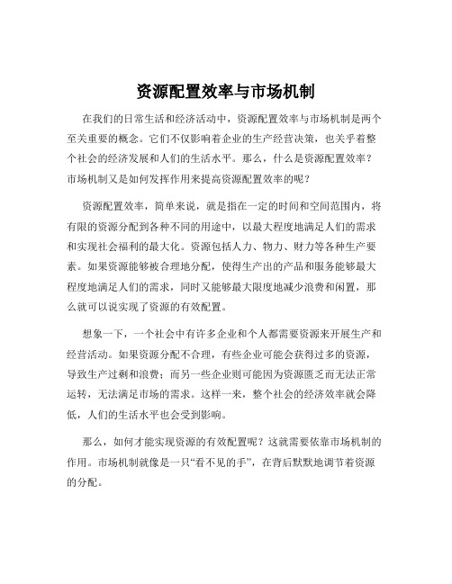 资源配置效率与市场机制