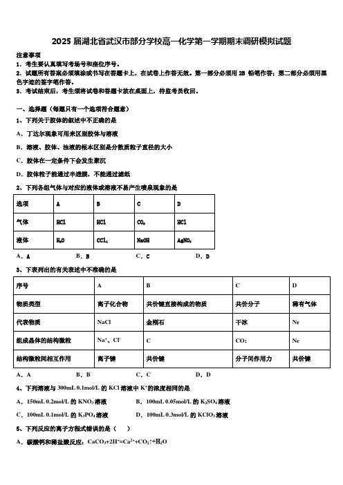 2025届湖北省武汉市部分学校高一化学第一学期期末调研模拟试题含解析