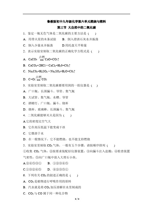 鲁教版初中九年级化学第六单元燃烧与燃料《大自然中的二氧化碳》同步练习