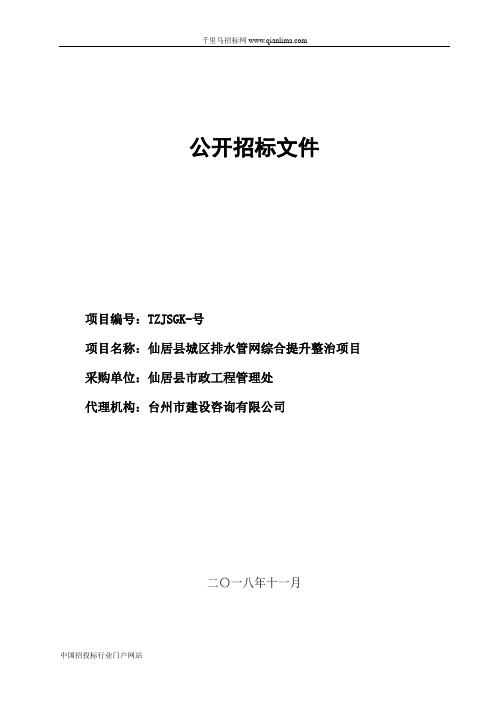 城区排水管网综合提升整治项目补充招投标书范本