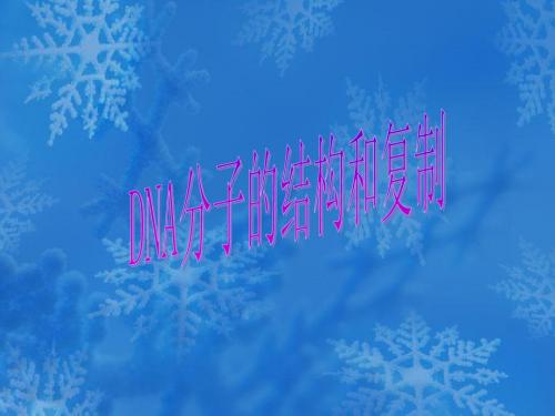 生物:3.3《DNA的复制》课件(3)(新人教版必修2)