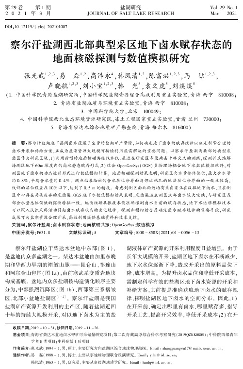 察尔汗盐湖西北部典型采区地下卤水赋存状态的地面核磁探测与数值模拟研究