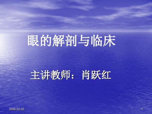 眼解剖