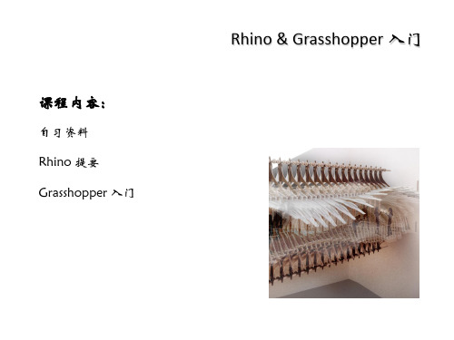 Grasshopper入门