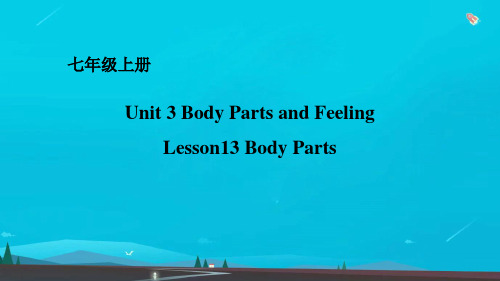 七年级英语上册U3BodyPartsandFeelingL13BodyParts课件