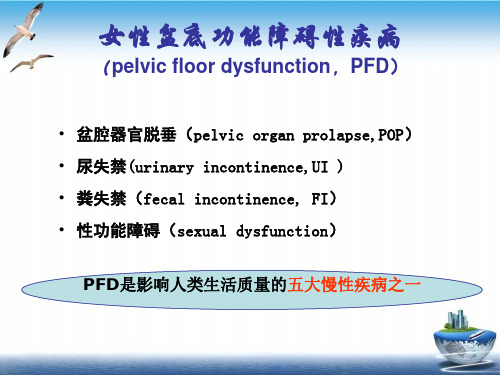 盆底功能训练PPT课件(模板)