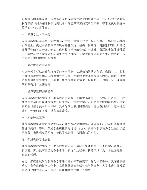 教师多媒体教学心得体会