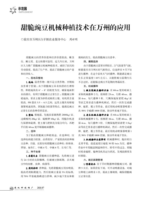 甜脆豌豆机械种植技术在万州的应用
