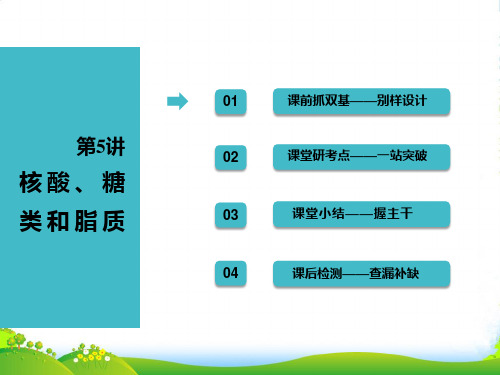 届高考全国卷人教版生物一轮复习课件：必修1 第一单元 第5讲 核酸、糖类和脂质