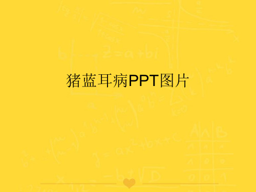 【推选】猪蓝耳病PPT图片PPT实用
