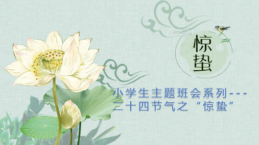 小学生主题班会系列---二十四节气之“惊蛰”