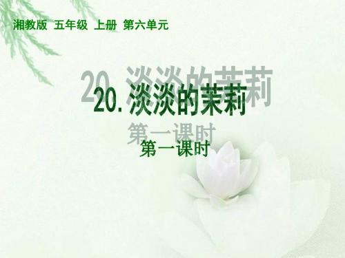 20 淡淡的茉莉