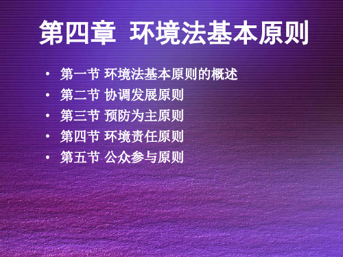 西北政法环境与资源保护法学课件第4章 环境法基本原则