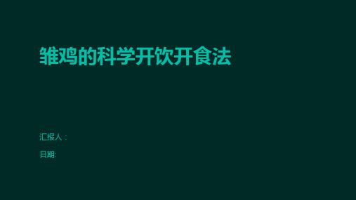 雏鸡的科学开饮开食法