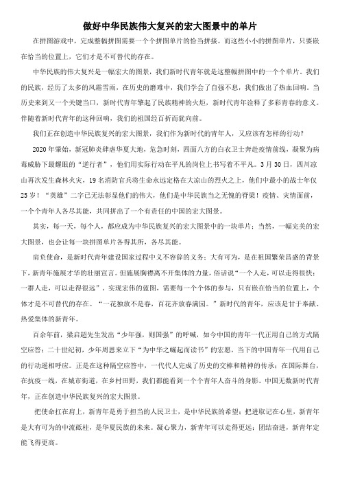 做好中华民族伟大复兴的宏大图景中的单片——押中北京卷2020高考作文
