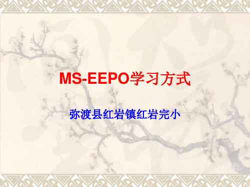 MS-EEPO有效教育学习方式