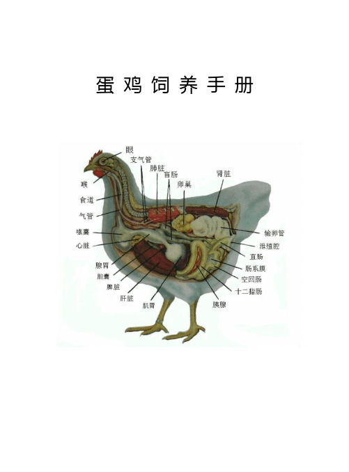 蛋鸡饲养管理-养鸡手册-蛋鸡饲养