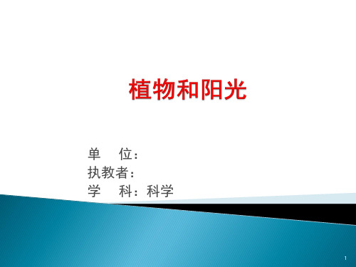 【推荐】2019-2020青岛版小学二年级上册科学(课件)10.植物和阳光