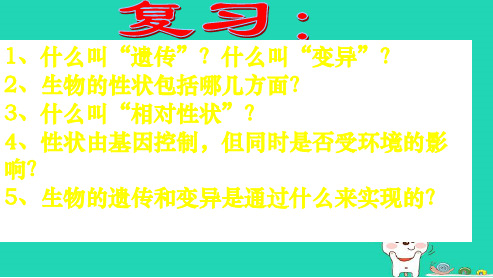 新人教版八年级生物下册第二节__基因在亲子代间的传递4ppt课件